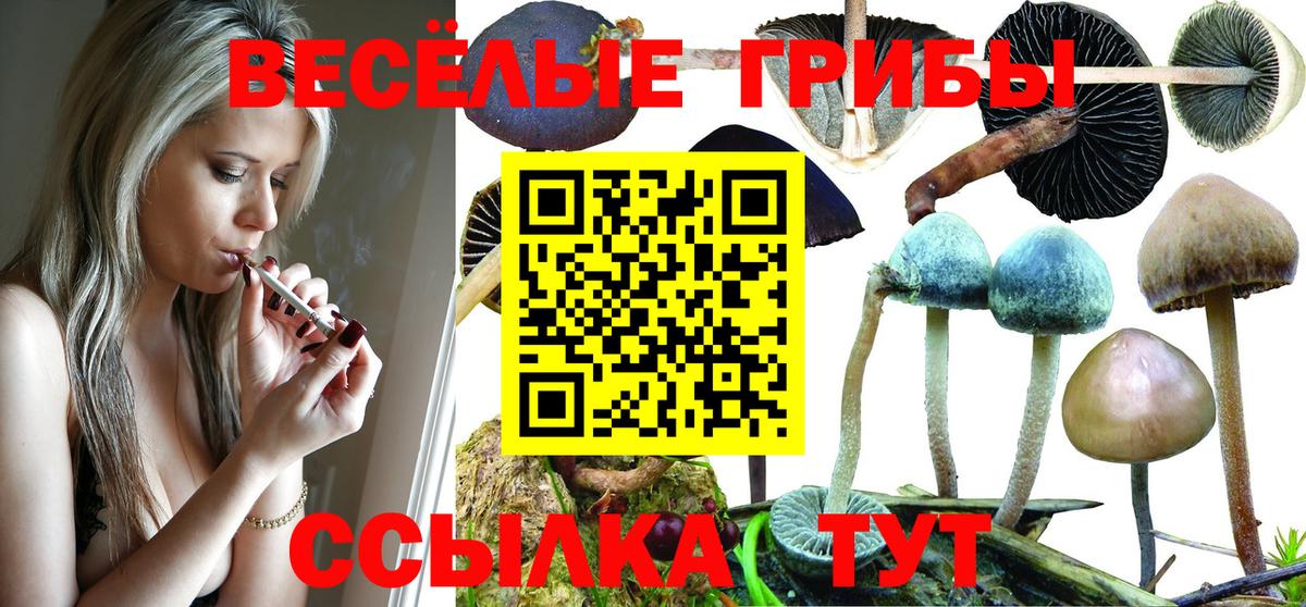 Псилоцибиновые грибы прущие грибы Электрогорск